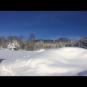 Meet your Posher, Carlos